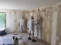 Best Asbestos and Lead Testing During Mold Inspection  in Brices Creek, NC